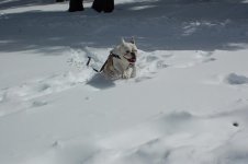 DSC_8712.jpg