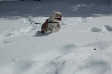 DSC_8713.jpg