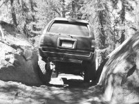 Brewer 35 (3).jpg