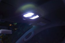 _7105204.jpg