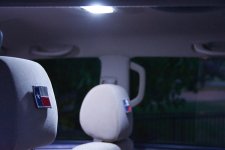 _7105205.jpg