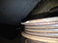 IMG_0447.jpg IMG_0447.jpg