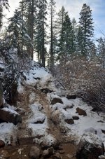 DSC_0121.jpg