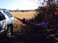 hammock3.jpg
