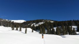 20150107_120555_resized.jpg