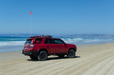 WarthogOnBeach.jpg