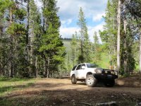 4Runner Bighorns.jpg