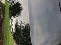 IMG_4914.JPG