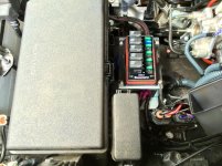 IMG_6545.jpg IMG_6545.jpg