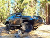 Mammoth_trail_2.jpg Mammoth_trail_2.jpg