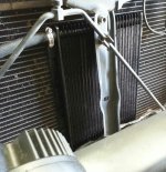 trans cooler installed.jpg