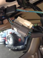 IMG_1362.jpg
