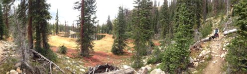 t-02.jpg