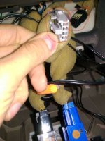 IMAG0092_m.jpg