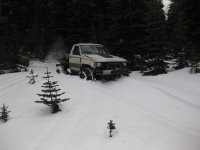 IMG_0616.jpg