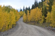 fall.jpg