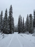 IMG_7513.jpg