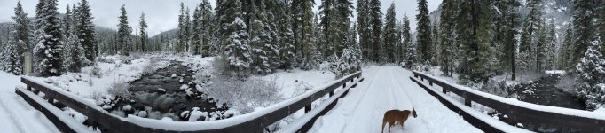 IMG_7572.jpg