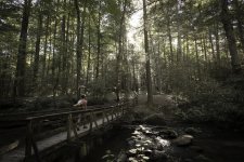 Chattahoochee 09-2014-3.jpg