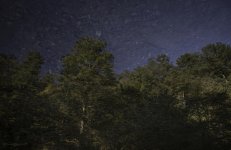 Chattahoochee 09-2014-28.jpg
