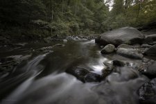 Chattahoochee 09-2014-30.jpg