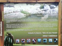 IMG_4239.jpg IMG_4239.jpg