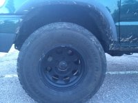 IMG_4503.jpg IMG_4503.jpg