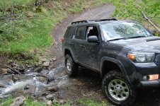 DSC_0116.jpg
