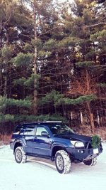 4runner pines.jpg