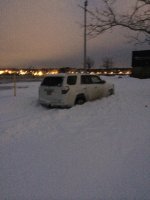 IMG_2895.jpg