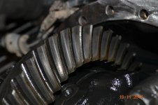 DSC_0919.jpg