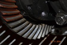DSC_0920.jpg