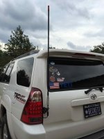 IMG_3597.jpg