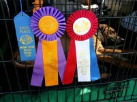 Ember 20140525 BIF ribbons.jpg