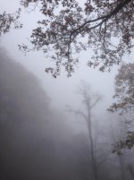 Iphone Smokeys 345.jpg