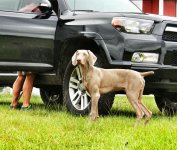 IMG_8873_1.jpg