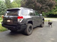 bumper quarter jetta.jpg