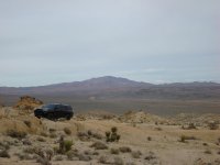 DSC00914.jpg