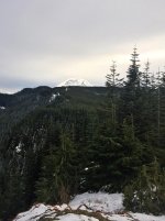 IMG_7781.jpg
