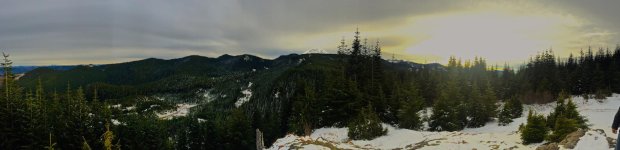 IMG_7782.jpg