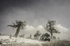 Nov23-9.jpg