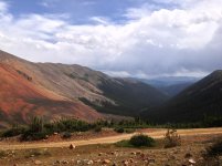 IMG_1597.jpg