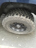 IMG_7815.jpg