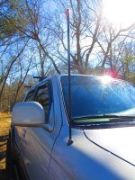 IMG_1033.jpg