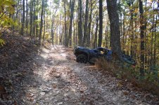 DSC_0461.jpg