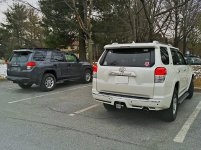 Spotted Yota1.jpg