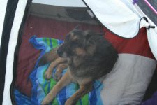 Colorado-Utah 2009 217.jpg