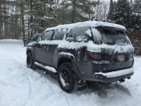 IMG_1784.jpg