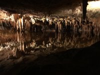 IMG_4372.jpg