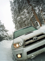 picture 2 copy.gif